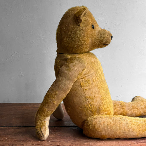 1920's Anton Kelsewetter German Teddy Bear