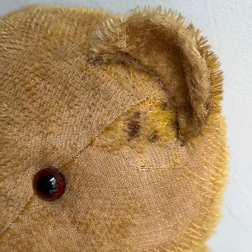 1920's Anton Kelsewetter German Teddy Bear