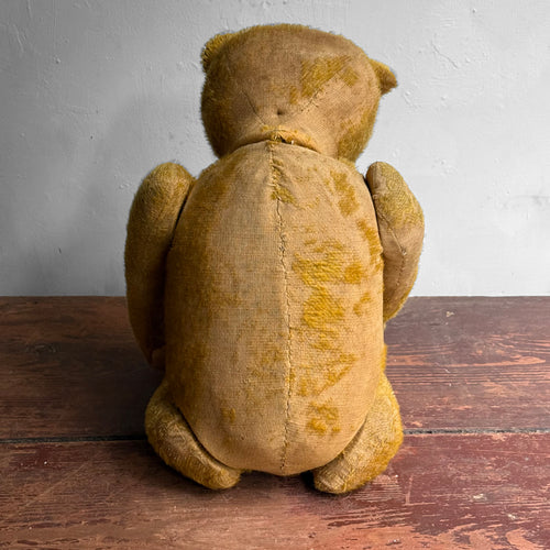 1920's Anton Kelsewetter German Teddy Bear