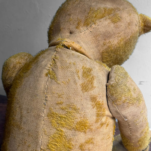1920's Anton Kelsewetter German Teddy Bear