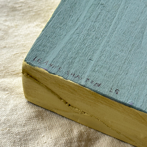 Leanne Shapton "Vile Bodies" Painted Wooden Book