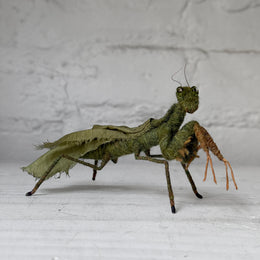 Needle Felted Praying Mantis