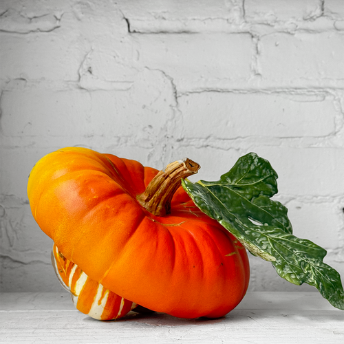 Porcelain Turban Squash with Leaf