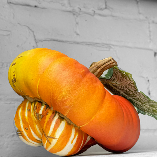 Porcelain Turban Squash with Leaf