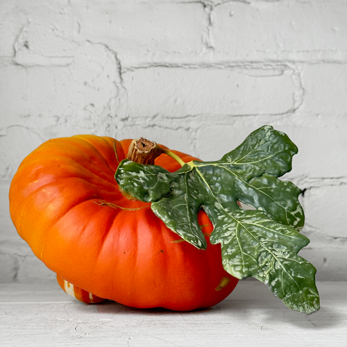 Porcelain Turban Squash with Leaf