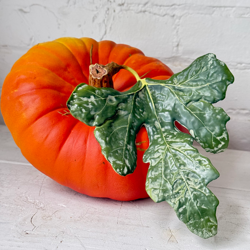 Porcelain Turban Squash with Leaf