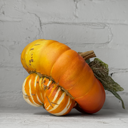 Porcelain Turban Squash with Leaf