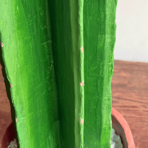 Papier-Mâché Potted Cactus