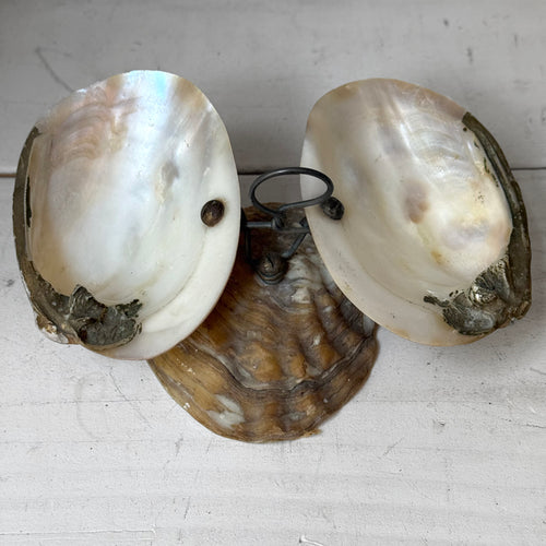 19th-century Victorian Mother of Pearl Shell Dish