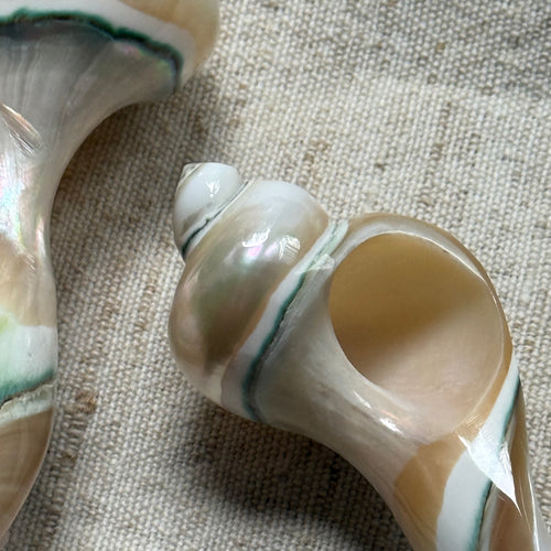 Carved Mother of Pearl Shell and Horn Serving Utensils