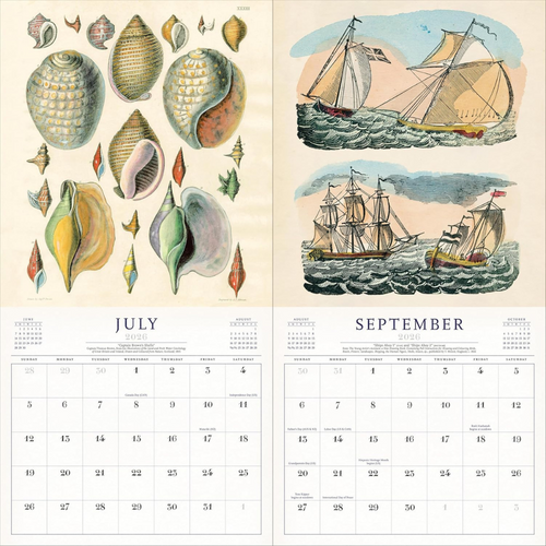 The World of John Derian Wall Calendar 2026
