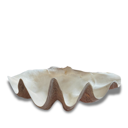 Giant Vintage Clam Shell