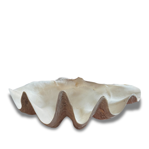 Giant Vintage Clam Shell