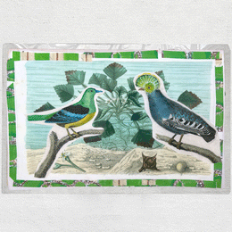 One of a Kind Collaged Bird Mat (#305)