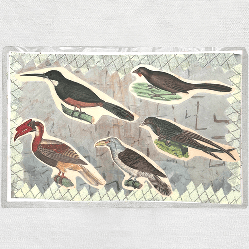 One of a Kind Collaged Bird Mat (#307)