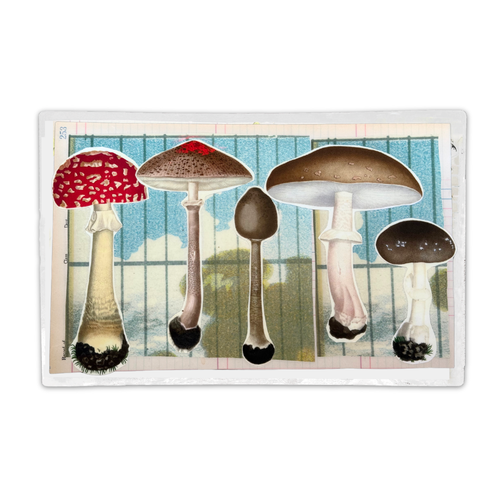 One-of-a-Kind Collaged Mushroom Mat (#30)
