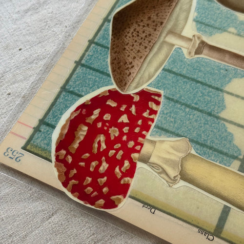 One-of-a-Kind Collaged Mushroom Mat (#30)