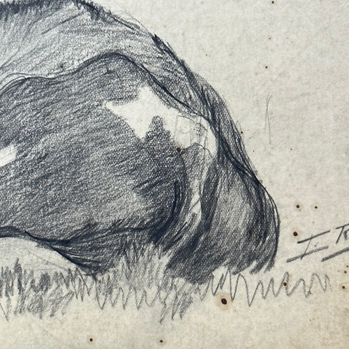 Evert Rabbers Early 20th-century Cow Drawing (ERA14)