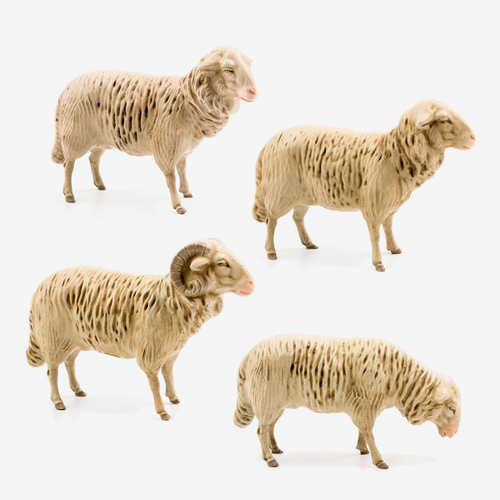 Flock of 4 Nativity Sheep Figures