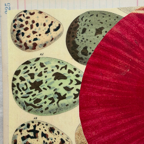One-of-a-Kind Red Poppy & Eggs Mat (#39)