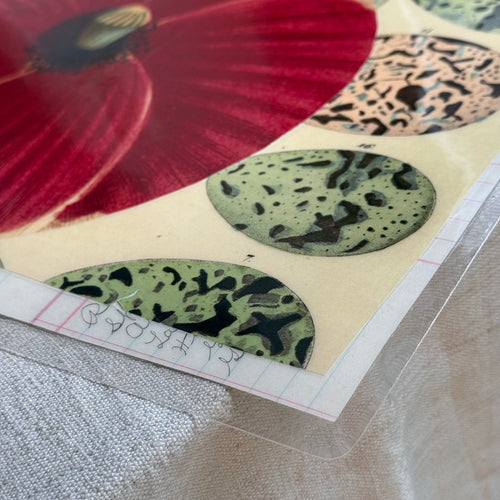 One-of-a-Kind Red Poppy & Eggs Mat (#39)