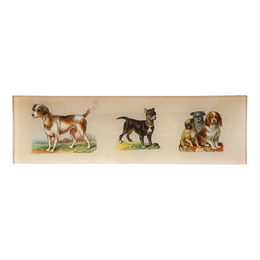 5 Dogs