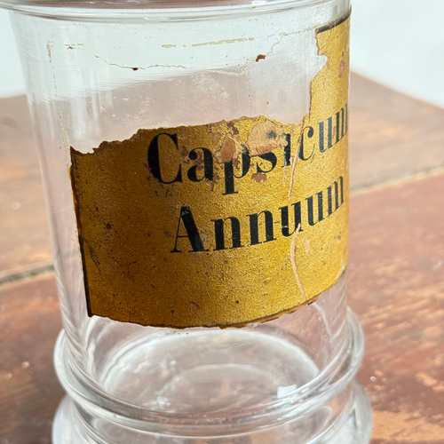 Small 19th-century French Apothecary Jar (20M)