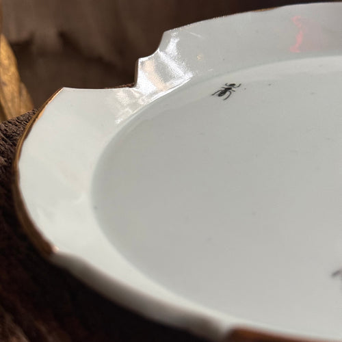Ant Plate (BC237)