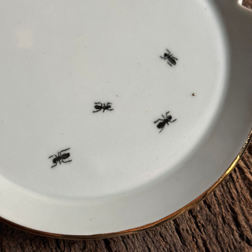 Ant Plate (BC237)