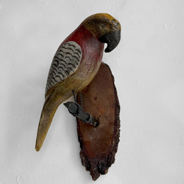Early 20th-century Black Forest Carved Parrot (BFP-02)