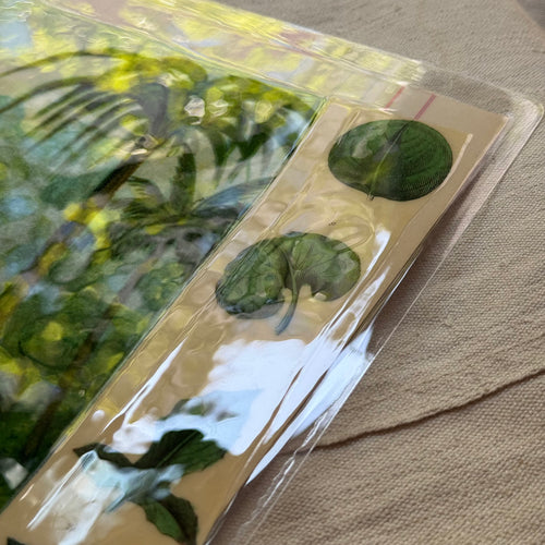 One-of-a-Kind Collaged Zebra & Foliage Mat (#3)