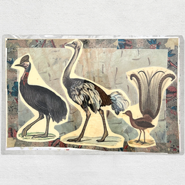 One of a Kind Collaged Bird Mat (#603)