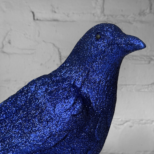 Ino Schaller Glitter Crow in Navy