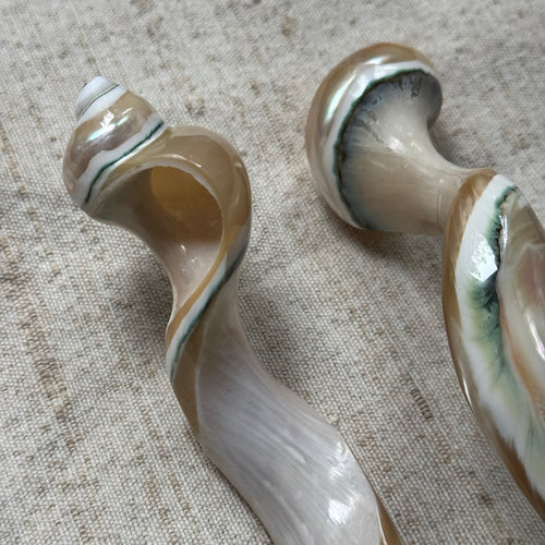 Carved Mother of Pearl Shell and Horn Serving Utensils