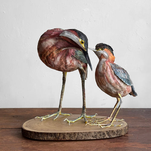 Papier-Mâché Black Crowned Night Heron with Chick