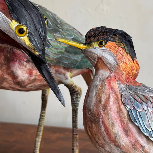 Papier-Mâché Black Crowned Night Heron with Chick
