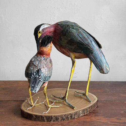Papier-Mâché Black Crowned Night Heron with Chick