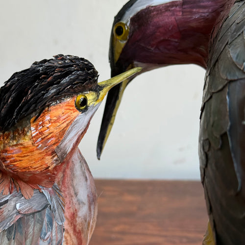 Papier-Mâché Black Crowned Night Heron with Chick