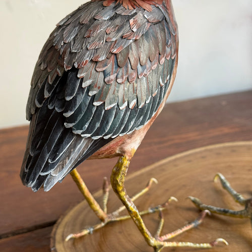 Papier-Mâché Black Crowned Night Heron with Chick