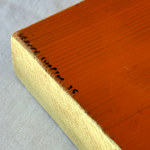 Leanne Shapton "Oranges Are Not the Only Fruit" Painted Wooden Book