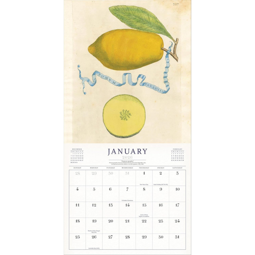 The World of John Derian Wall Calendar 2026