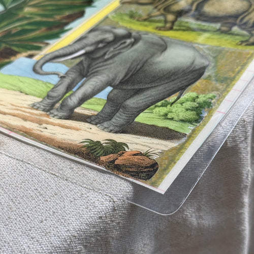 One-of-a-Kind Animal & Peony Mat (#40)