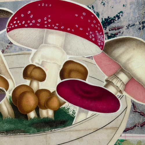One-of-a-Kind Bowl of Mushrooms Mat (#42)