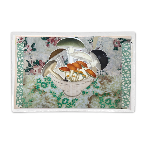 One-of-a-Kind Bowl of Mushrooms Mat (#43)