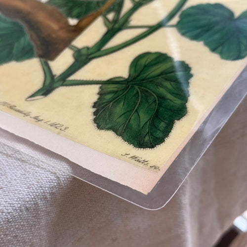 One-of-a-Kind Collaged Geraniums & Green Bird Mat (#47)