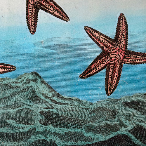 One-of-a-Kind Collaged Starfish Mat (#49)