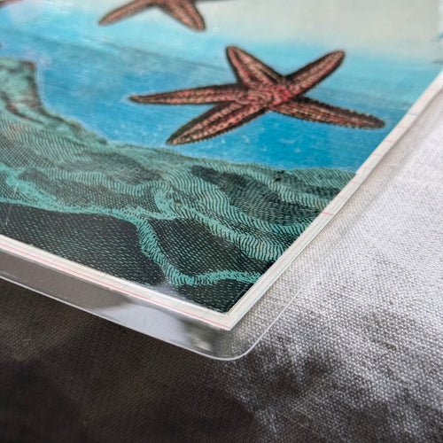 One-of-a-Kind Collaged Starfish Mat (#49)