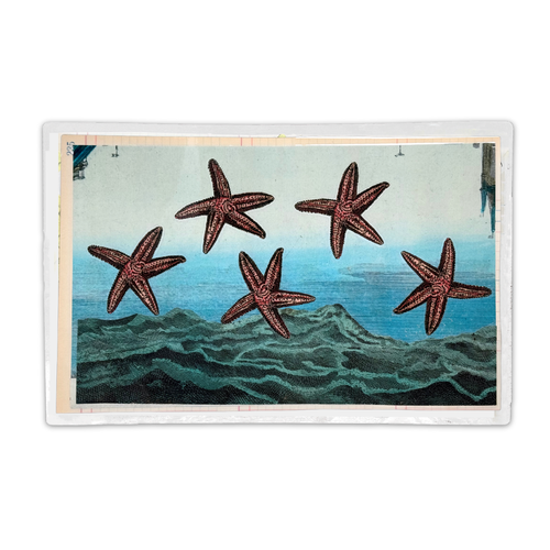 One-of-a-Kind Collaged Starfish Mat (#49)