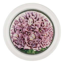 Rhododendron Fastuosum