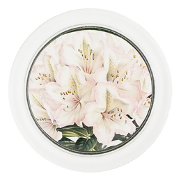 Rhododendron Madame Louis